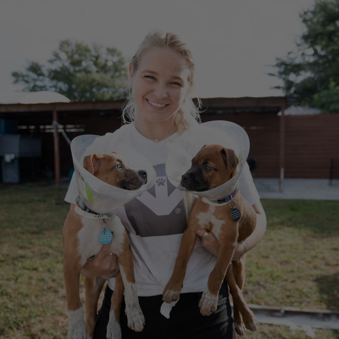 Young white female holding two puppies